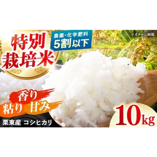 ふるさと納税 米 コシヒカリ 滋賀県 栗東市 令和7年度産 栗東産 特別栽培米 コシヒカリ 10kg / ご飯 ごはん ゴハン 新米 令和7年産 / 栗東市 / レーク滋賀…