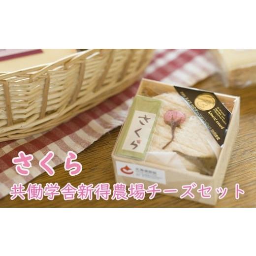 ふるさと納税 加工品等 チーズ 北海道 新得町 F-1704 共働学舎新得農場チーズセット 2026さくら
