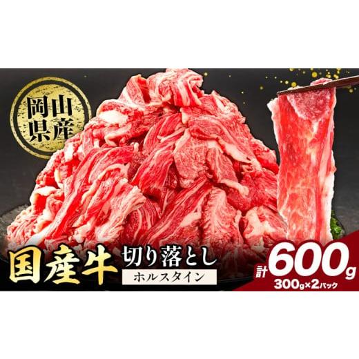 ふるさと納税 牛肉 カレー・シチュー 岡山県 矢掛町 牛肉 肉 国産牛 切り落とし ホルスタイン 大容量 小分け 600g(300g×2) [30日以内に出荷予定(土日祝除く)…