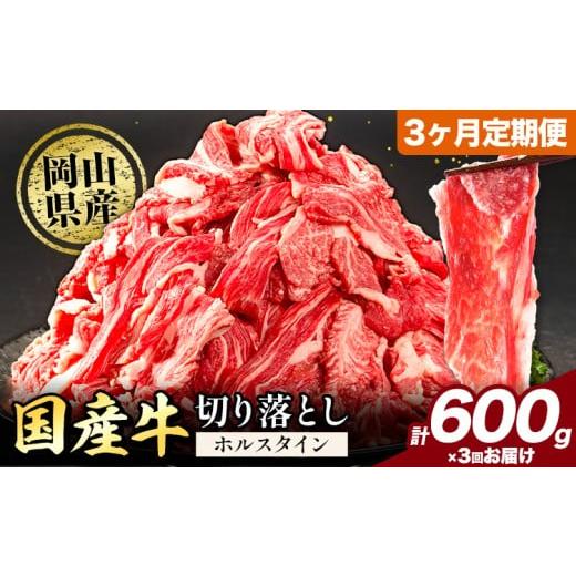 ふるさと納税 牛肉 カレー・シチュー 岡山県 矢掛町 3ヶ月定期便 牛肉 肉 国産牛 切り落とし ホルスタイン 大容量 小分け 600g(300g×2) [お申込み月の翌月…