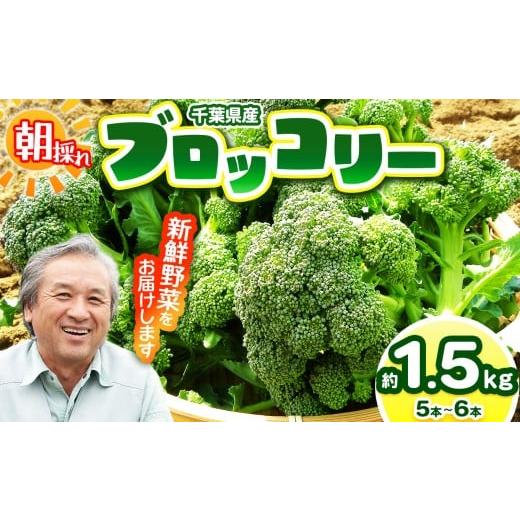 ふるさと納税 野菜類 千葉県 君津市 農薬(化学肥料):栽培期間中不使用 朝採り ブロッコリー 約1.5kg(5〜6本) | 鈴木アル・ファーム 新鮮 にがり農法 国…