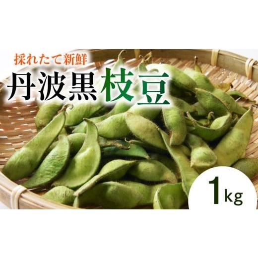 ふるさと納税 豆類 枝豆 滋賀県 竜王町 枝豆 1 kg 野菜 丹波黒 枝豆 枝豆 黒大豆 丹波黒 枝豆 旬 採れたて 産地直送 枝豆 おつまみ ヤサイ やさい 食材 新鮮 …