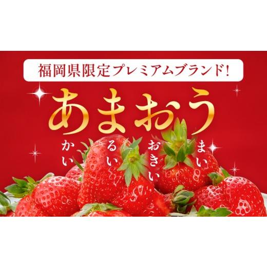 福岡県産】完熟冷凍あまおう 約4kg（500g×8）｜濃厚な甘み＊鮮度