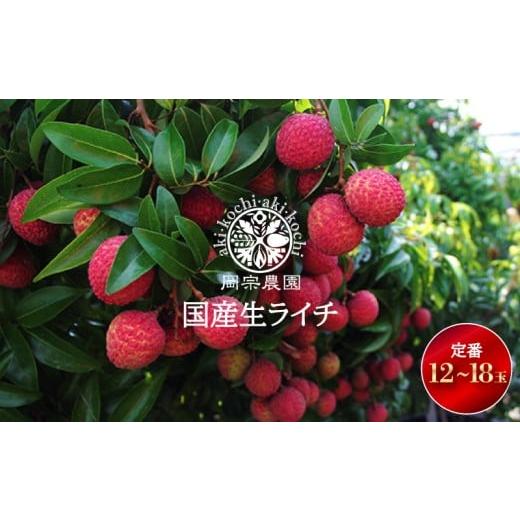 ふるさと納税 果物類 高知県 安芸市 先行受付開始 令和8年産 生ライチ 12個 〜18個 定番 フルーツ 果物 くだもの 季節限定 期間限定 数量限定 旬 限定 国産 …