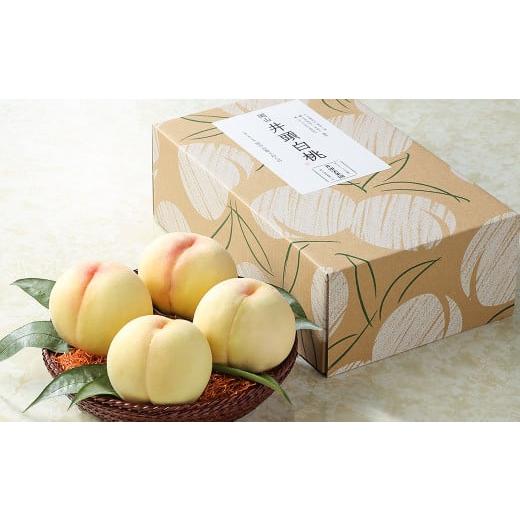 ふるさと納税 もも 岡山県 倉敷市 井頭栄果園 白桃 約1.3kg 2026年7月上旬〜8月上旬まで順次発送予定 もも 果物 フルーツ 国産 人気 おすすめ 岡山県 倉敷市