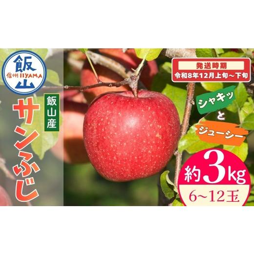 ふるさと納税 りんご 長野県 飯山市 先行予約?2026年12月上旬より順次発送 サンふじ 約3kg(6〜12玉) ?長野県 飯山市 サンふじ 果物 デザート おやつ おすすめ…