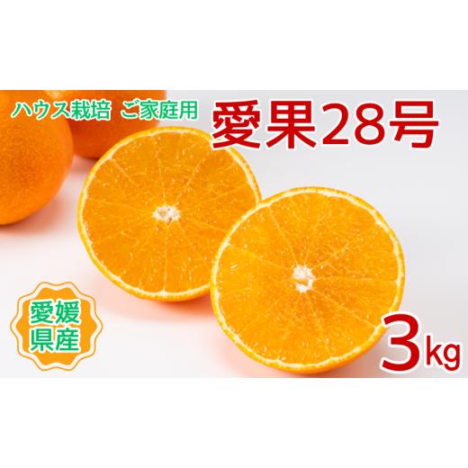 ふるさと納税 みかん・柑橘類 愛媛県 伊予市 みかん 愛果28号 3kg ご家庭用 紅まどんなと同一品種 農園直送 先行予約 12月上旬から順次発送予定 愛媛 数量限定…