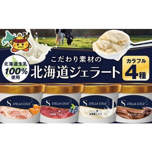 ふるさと納税 アイス・ヨーグルト ジェラート 北海道 岩見沢市 STELLA CIELO 北海道ジェラート4個 カラフル | 北海道ミルク チョコラータ 北海道赤肉メロン 北…