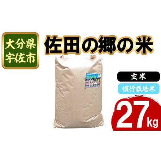 ふるさと納税 玄米 大分県 宇佐市 新米・令和7年産 佐田の郷の米 玄米 慣行栽培米(27kg)お米 玄米 ごはん ヒノヒカリ ひのひかり ブランド米 常温 常温保存 1…