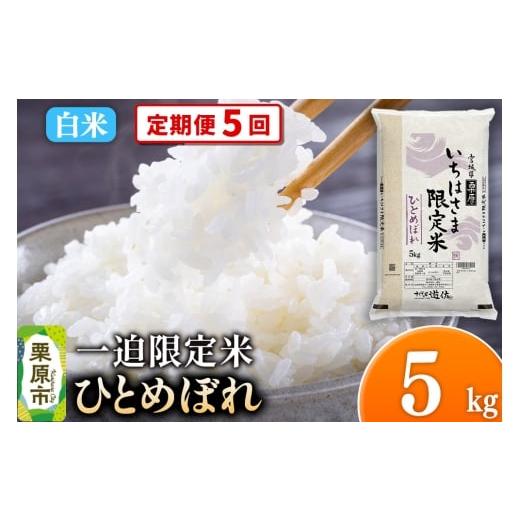ふるさと納税 米 ひとめぼれ 宮城県 栗原市 定期便5回 白米 令和7年産 一迫限定米 ひとめぼれ 5kg