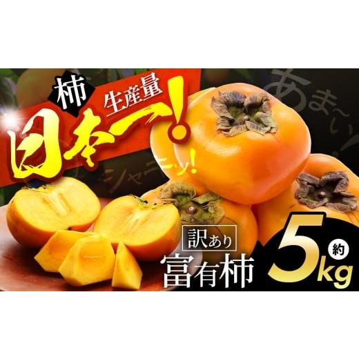 ふるさと納税 果物類 柿 奈良県 五條市 シャキッと甘い 訳あり 富有柿 約 5kg | フルーツ くだもの 果物 柿 かき カキ 奈良県 五條市 訳あり 家庭用 自宅用 ど…