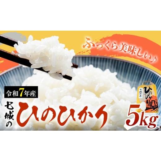ふるさと納税 米 ヒノヒカリ 熊本県 菊池市 米 令和7年産 七城の ひのひかり 5kg 有限会社草佳苑[90日以内に出荷予定(土日祝除く)]熊本県 菊池市 こめ 米 ひ…