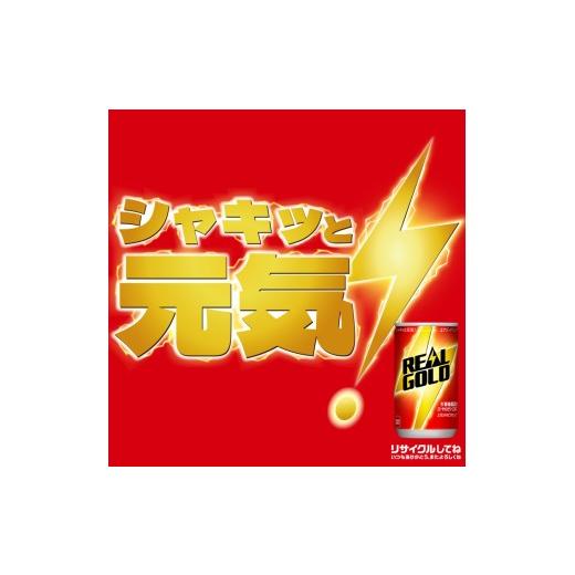 ふるさと納税 炭酸飲料 北海道 札幌市 ２ヶ月定期便 リアルゴールド 160ml缶×120本｜コカ・コーラ 飲料 ドリンク 飲み物 炭酸 ジュース 北海道 札幌市