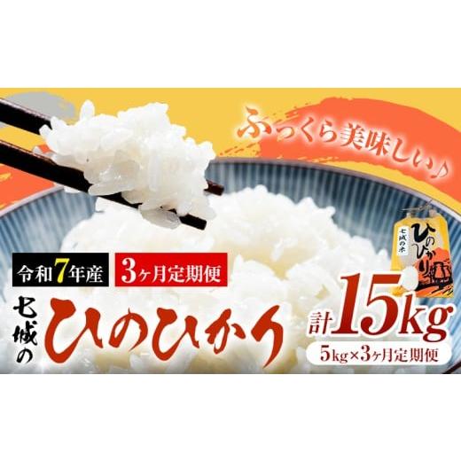 ふるさと納税 米 ヒノヒカリ 熊本県 菊池市 米 令和7年産 七城の ひのひかり 5kg 3ヶ月定期便 計15kg 有限会社草佳苑[90日以内に出荷予定(土日祝除く)]熊本…