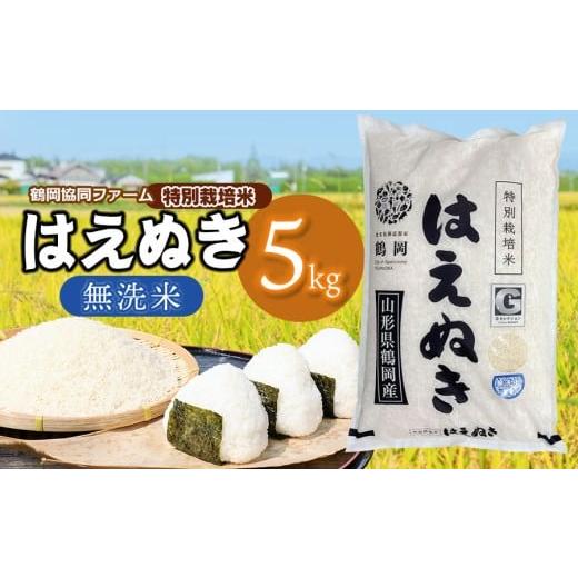 ふるさと納税 米 はえぬき 山形県 鶴岡市 令和7年産 新米 特別栽培米はえぬき 無洗米 5kg (5kg×1袋) 山形県鶴岡産 鶴岡協同ファーム