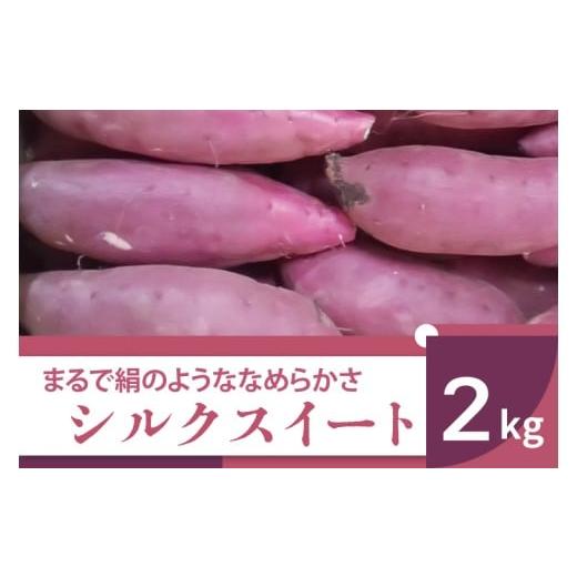 ふるさと納税 野菜類 サツマイモ 茨城県 行方市 2025年11月より順次発送 2025年度産 まるで絹のようななめらかなさつまいも シルクスイート 約2kg|さつまい…