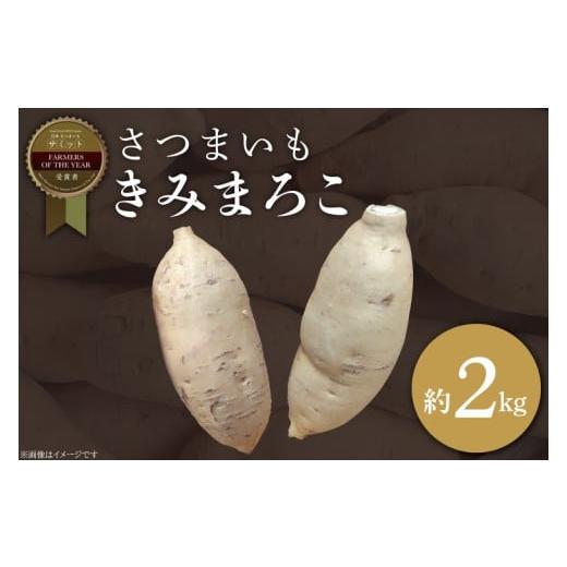 ふるさと納税 野菜類 サツマイモ 茨城県 行方市 2025年11月より順次発送 2025年度産 さつまいも きみまろこ 約2kg|さつまいも 芋 お芋 きみまろこ 渋谷農園 …