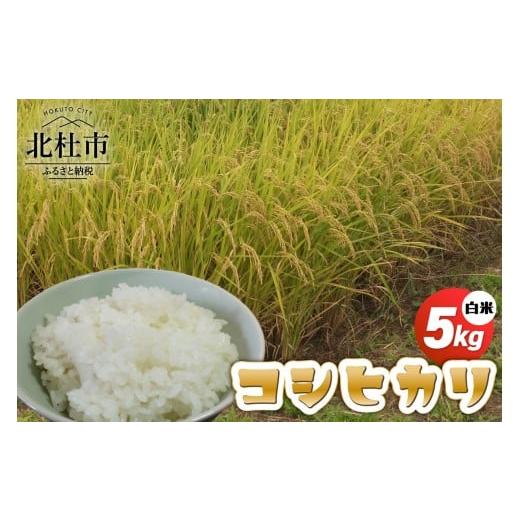 ふるさと納税 米 コシヒカリ 山梨県 北杜市 令和7年度新米 コシヒカリ白米5kg 米 こめ 1袋 ブランド米 モミで保存 精米 香り 甘い 粘り 山梨県 北杜市