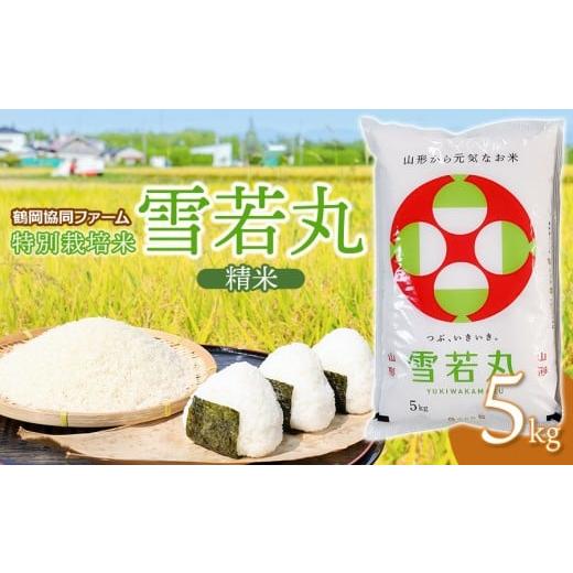 ふるさと納税 無洗米 山形県 鶴岡市 令和7年産 新米 特別栽培米 雪若丸 5kg (5kg×1袋) 山形県鶴岡産 鶴岡協同ファーム