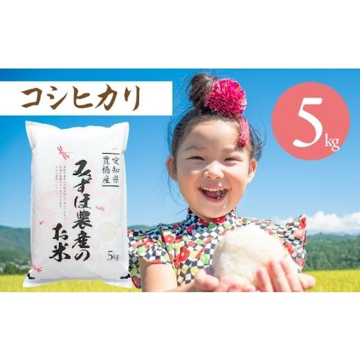 ふるさと納税 米 コシヒカリ 愛知県 豊橋市 こしひかり 5kg コシヒカリ お米 おこめ コメ 米 こめ kome 5キロ ふるさと納税米 産地直送 送料無料 愛知県 豊橋…