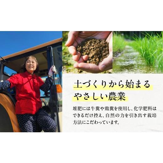 ふるさと納税 米 にこまる 愛知県 豊橋市 にこまる 5kg お米 おこめ コメ 米 こめ kome 5キロ ふるさと納税米 産地直送 送料無料 愛知県 豊橋市 にこまる　5kg |  | 02