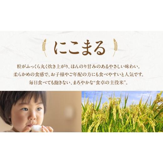 ふるさと納税 米 にこまる 愛知県 豊橋市 にこまる 5kg お米 おこめ コメ 米 こめ kome 5キロ ふるさと納税米 産地直送 送料無料 愛知県 豊橋市 にこまる　5kg |  | 04