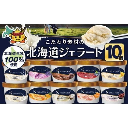 ふるさと納税 アイス・ヨーグルト ジェラート 北海道 岩見沢市 「寄附額改定↓」STELLA CIELO 北海道ジェラート10個 | 北海道ミルク チョコラータ 北海道クリ…