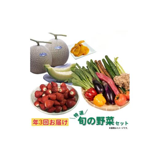 ふるさと納税 セット・詰合せ 茨城県 鉾田市 年3回お届け 特選旬の野菜セット