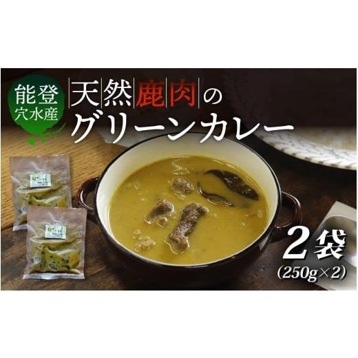ふるさと納税 加工品等 レトルト 石川県 穴水町 能登・穴水産 天然 鹿肉のグリーンカレー 2袋セット(計500g) | 奥能登 能登半島 穴水町 ジビエ 鹿肉 お肉 …
