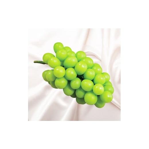 ふるさと納税 ぶどう マスカット 兵庫県 豊岡市 豊岡ぶどう シャインマスカット 約2kg / 豊岡ブドウ 産地直送 糖度が高い 濃厚 甘味 上品な香り 歯切れの良い…