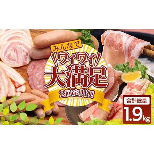 ふるさと納税 肉 ハム 鹿児島県 南大隅町 [全2回定期便]花の木農場 みんなでワイワイ大満足セット ハム 詰め合わせ 7種 1kg 豚しゃぶ 3種 900g セット HK-22…