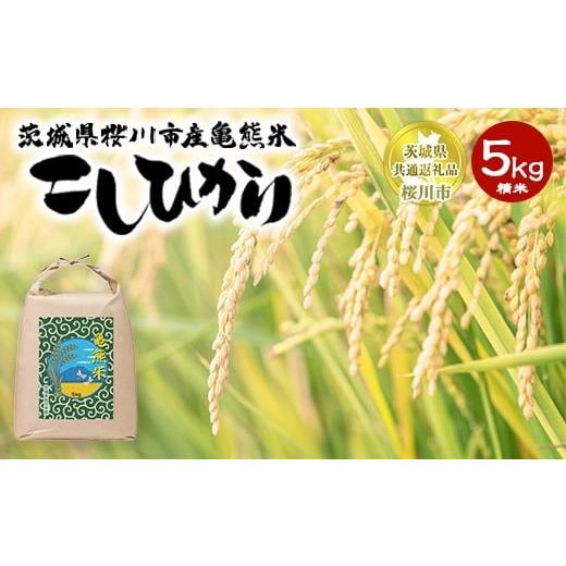 ふるさと納税 米 コシヒカリ 茨城県 土浦市 コシヒカリ 精米5kg 亀熊米 令和7年産 茨城県共通返礼品 桜川市産 | 茨城県産 白米 米 コメ 離島への配送不可