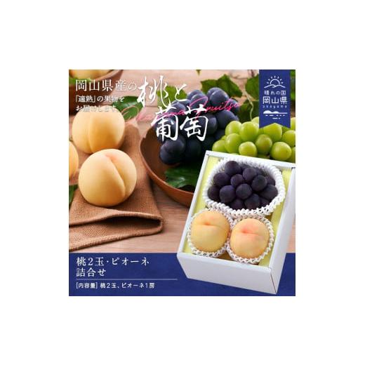 ふるさと納税 果物類 ぶどう 岡山県 和気町 CY-2 令和8年発送 桃・ピオーネ詰合せ