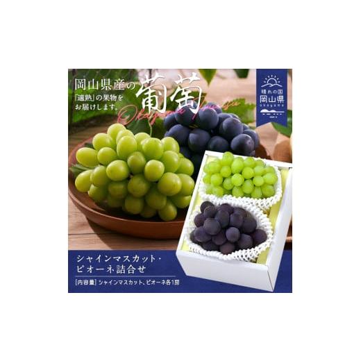 ふるさと納税 果物類 ぶどう 岡山県 和気町 CS-13 令和8年発送 シャインマスカット・ピオーネ詰合せ
