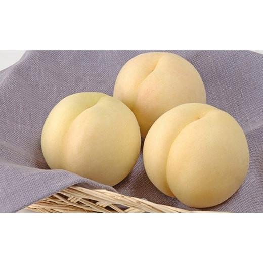 ふるさと納税 もも 岡山県 和気町 CY-1 令和8年発送 ご家庭用岡山白桃(晩生)