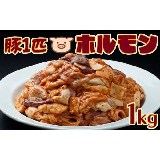 ふるさと納税 豚肉 ホルモン 宮城県 大崎市 生産者イチオシの逸品 豚一匹ホルモン1kgセット|希少部位10種以上ミックス・新鮮直送