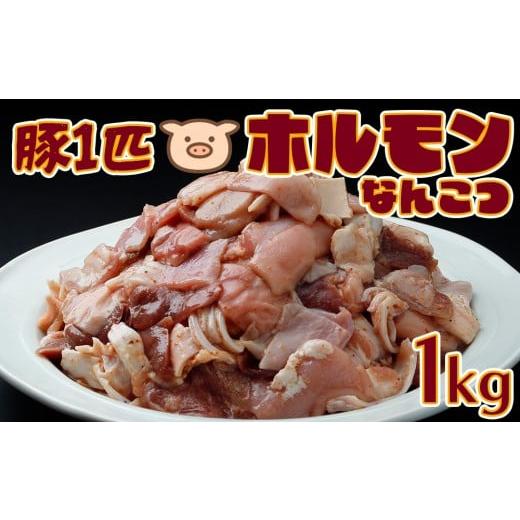 ふるさと納税 豚肉 ホルモン 宮城県 大崎市 歯ごたえがたまらない 豚一匹 なんこつホルモン 1kg|希少部位10種ミックス×ゆずりんご塩だれ仕込み