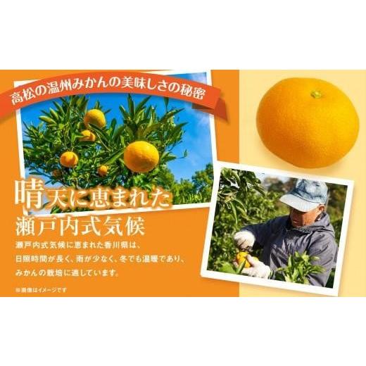 ふるさと納税 果物類 みかん 香川県 高松市 瀬戸内温州みかん(2L〜Mサイズ混合)約10kg 2025-10月中旬〜2026-1月下旬配送