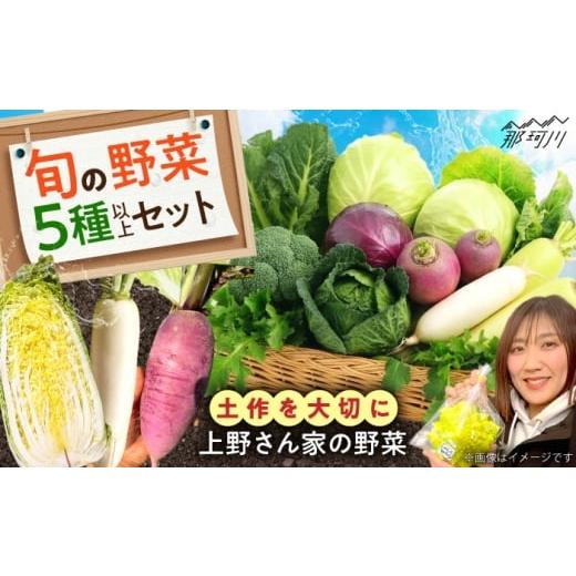ふるさと納税 セット・詰合せ 福岡県 那珂川市 旬の野菜セット 5種類以上 上野さん家の野菜 那珂川市