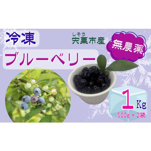 ふるさと納税 果物類 兵庫県 宍粟市 K11 しそうの “ 冷凍 " ブルーベリー 1kg(500g×2) 無農薬 冷凍 フローズン アイス ブルーベリー 果物 フルーツ 産…