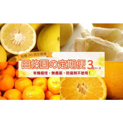 ふるさと納税 果物類 みかん 高知県 須崎市 全 3回 3ヶ月 果物 定期便 ぽんかん 土佐 文旦 オーガニック 無農薬 防腐剤 不使用 高知県 須崎市 柑橘 蜜柑 みか…