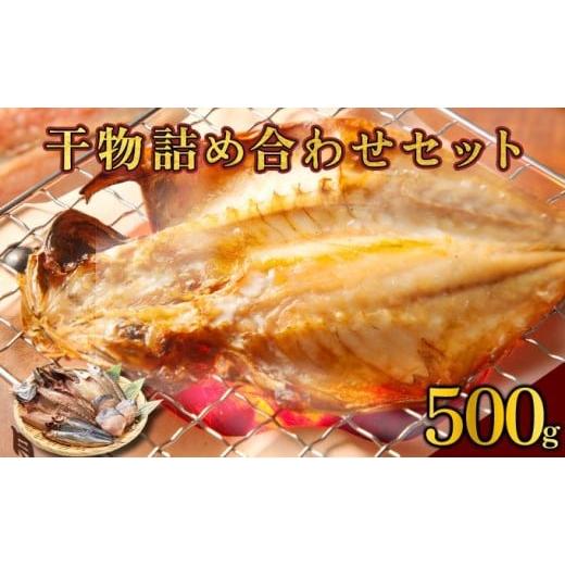 ふるさと納税 魚貝類 高知県 東洋町 MT014-1 海駅製作所 干物詰め合わせ お任せ3種以上 500g 500g
