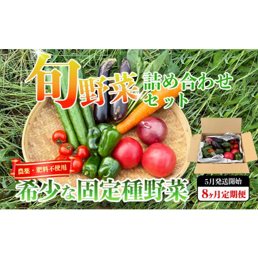 ふるさと納税 セット・詰合せ 茨城県 つくば市 先行予約 2026年5月発送開始 8回定期便 固定種野菜の自然栽培 旬のお野菜セットを毎月お届け 野菜 定期便 やさ…