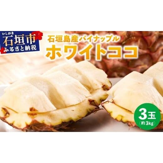 ふるさと納税 果物類 沖縄県 石垣市 6月上旬順次発送 石垣島産パイナップル ホワイトココ 3玉(約3kg)