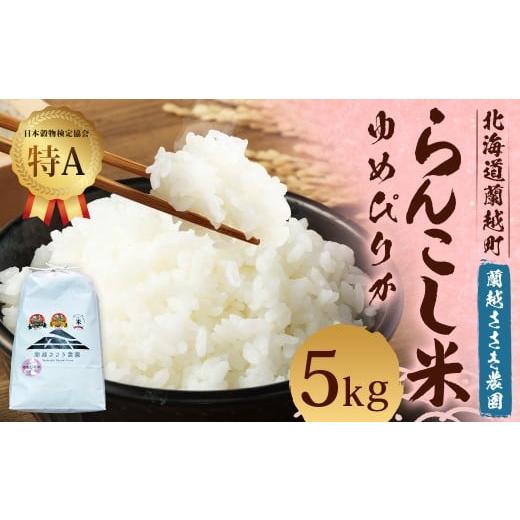 ふるさと納税 米 ゆめぴりか 北海道 蘭越町 令和7年産 らんこし米 (ゆめぴりか) 5kg (蘭越ささき農園) 2025年11月上旬発送開始