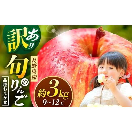 ふるさと納税 りんご 長野県 松本市 信州産 訳ありりんご 品種おまかせ 約3kg( 9〜12玉) 秋映・シナノスイート・シナノゴールド・名月・サンふじ | ふるさ…