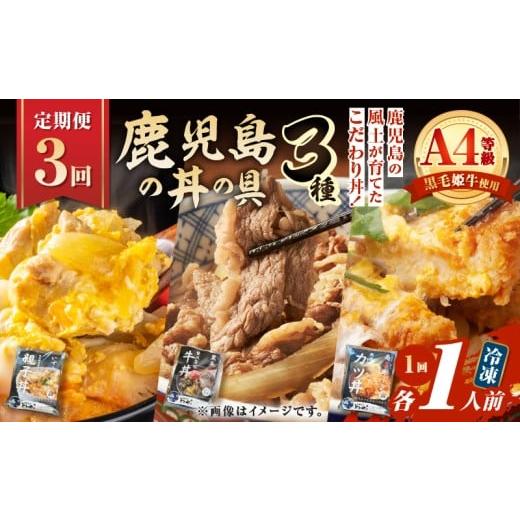 ふるさと納税 惣菜・レトルト 冷凍 鹿児島県 鹿児島市 全3回定期便 鹿児島の丼の具3種セット(1人前) K258-T05_01a
