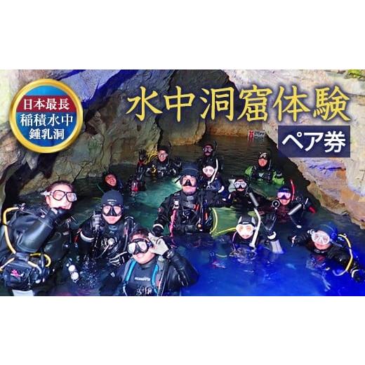 ふるさと納税 体験チケット 大分県 豊後大野市 058-251x1 水中洞窟体験 シュノーケリング ペアチケット