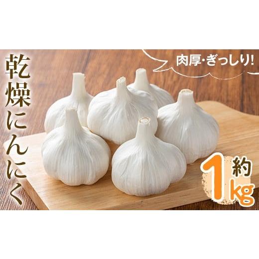 ふるさと納税 野菜類 香川県 まんのう町 先行予約 2026年6月中旬以降順次発送予定 乾燥にんにく(約1kg) man232 Aglio nero