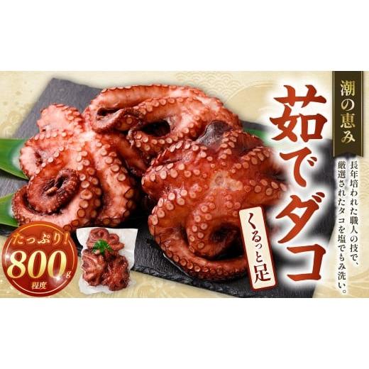 ふるさと納税 タコ 大阪府 阪南市 潮の恵み 茹でダコくるっと足 1杯(800g程度) 蛸 タコ たこ 茹でダコ ゆでダコ マダコ 真ダコ 冷凍